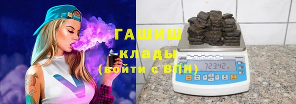 сатива Новодвинск