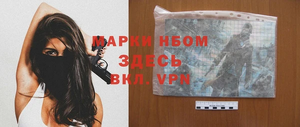 сатива Новодвинск