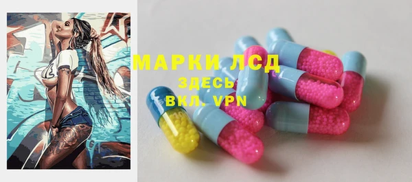 сатива Новодвинск