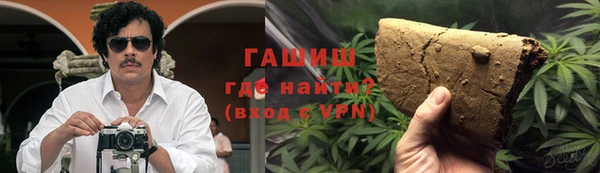 сатива Новодвинск