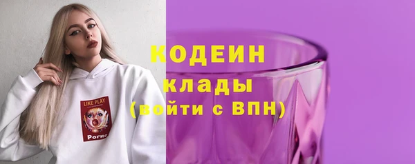 сатива Новодвинск