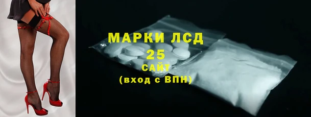 сатива Новодвинск