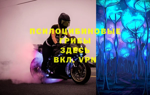 сатива Новодвинск