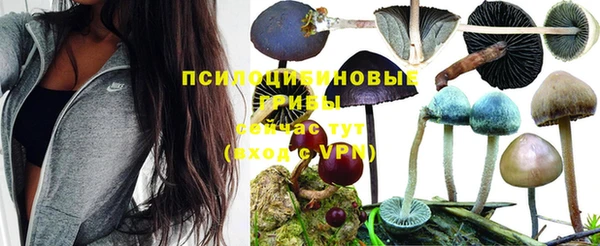 mdpv Новозыбков