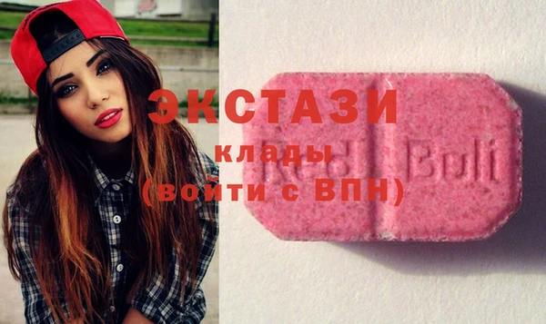 сатива Новодвинск