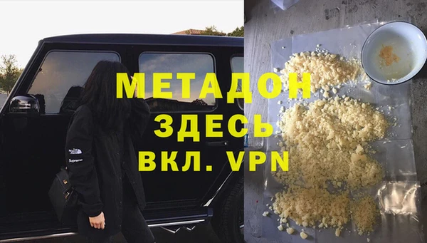 сатива Новодвинск