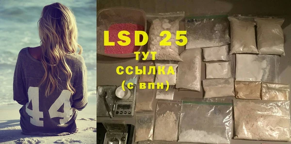 сатива Новодвинск