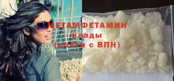 сатива Новодвинск