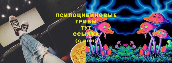 mdpv Новозыбков