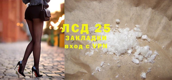 сатива Новодвинск