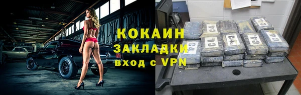 сатива Новодвинск