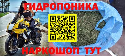 мяу мяу мука Заводоуковск