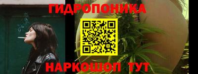 индика Жуковский