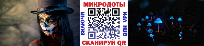 kraken ТОР  Саратов  Галлюциногенные грибы ЛСД 