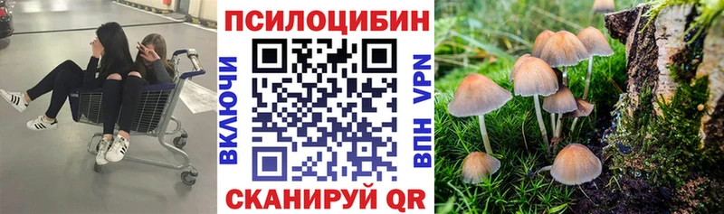 Псилоцибиновые грибы Psilocybine cubensis Саратов