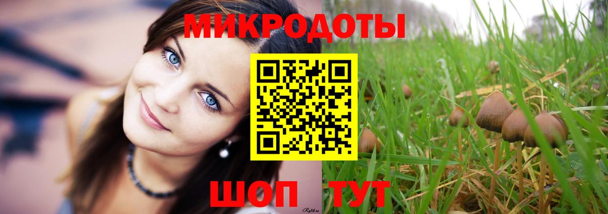 Псилоцибиновые грибы Magic Shrooms  Вход с VPN  Псилоцибиновые грибы мицелий  Саратов 